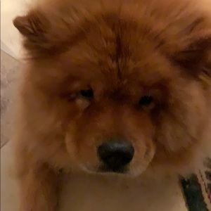 Meet your Posher, Christopher